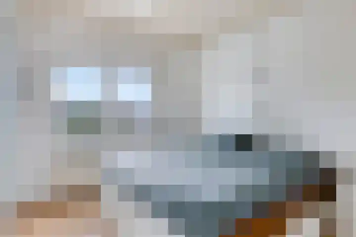 Prinzenstraat 19 Gemert thumbnail 26