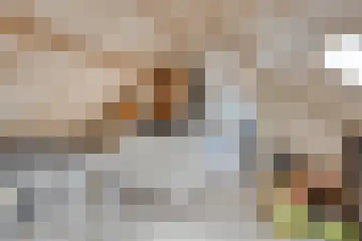 Prinzenstraat 19 Gemert thumbnail 33