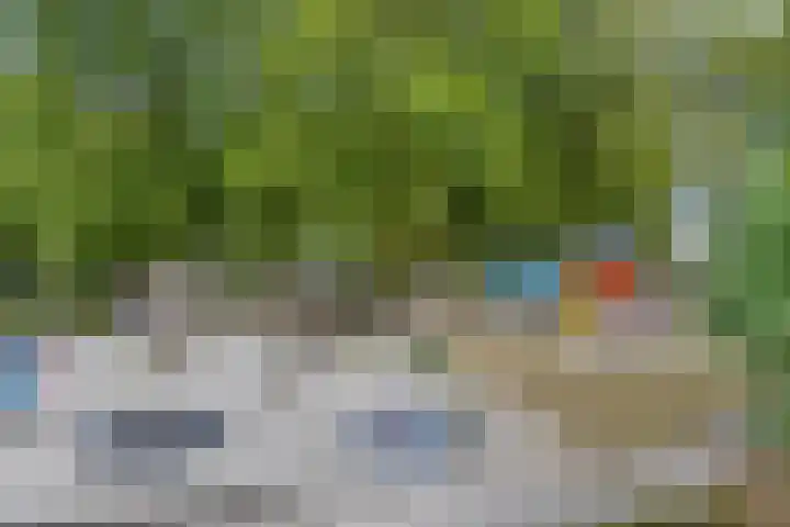 Prinzenstraat 19 Gemert thumbnail 41