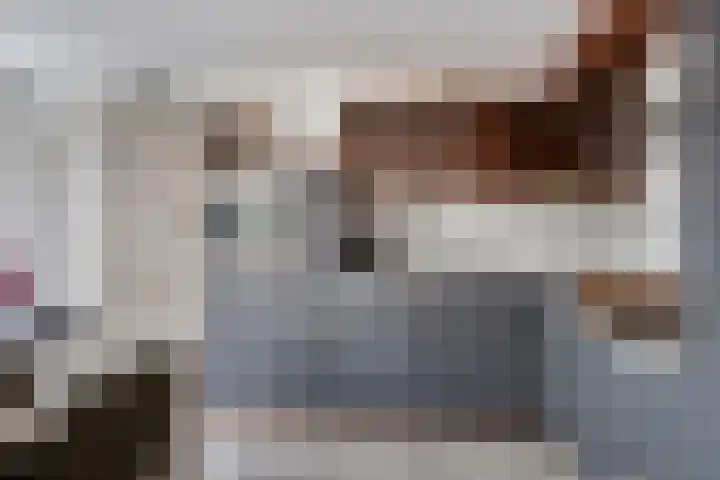 Prior van Milstraat 109 E Uden thumbnail 17