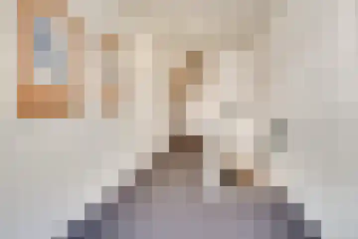 Prior van Milstraat 109 Uden thumbnail 5