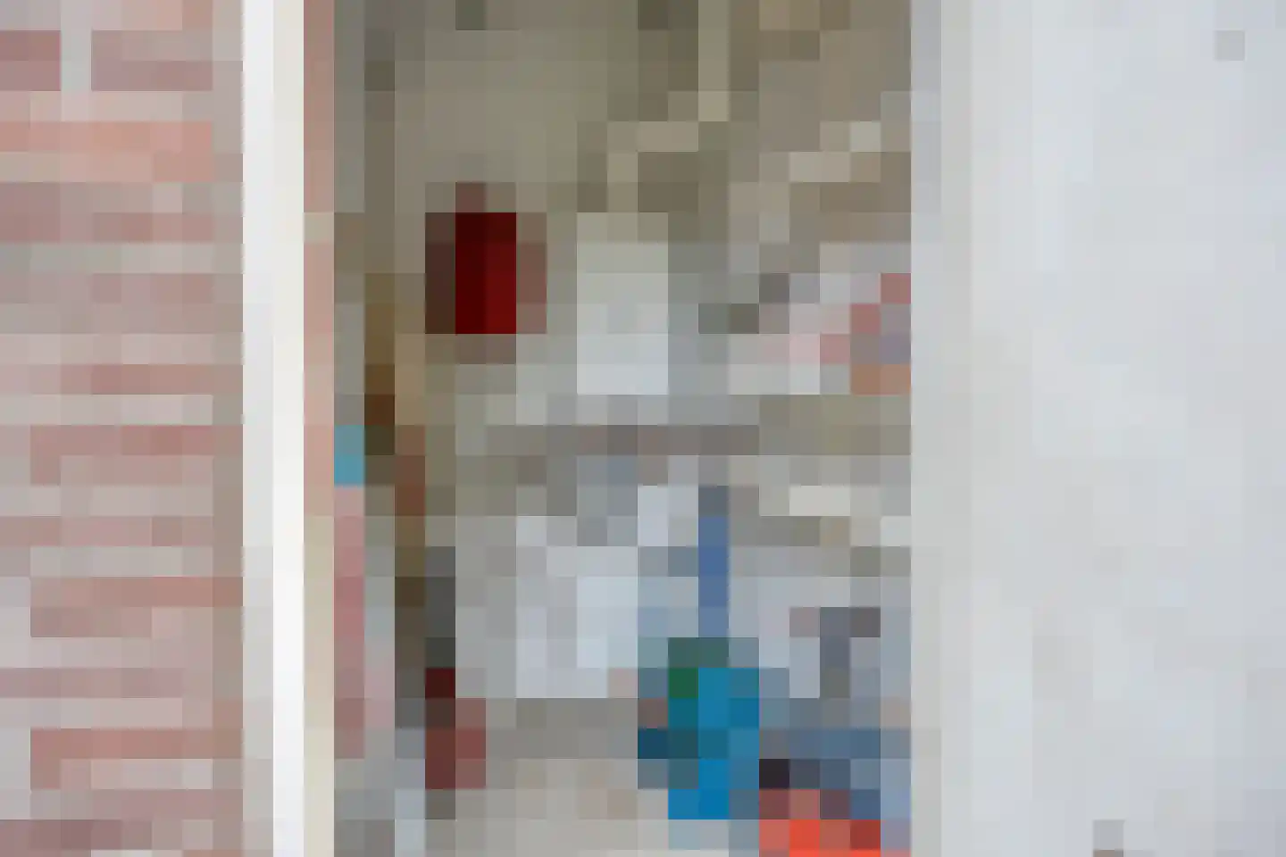 Prior van Milstraat 26 Uden thumbnail 36