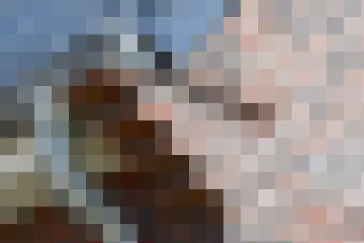Priorij 7 Winschoten thumbnail 10