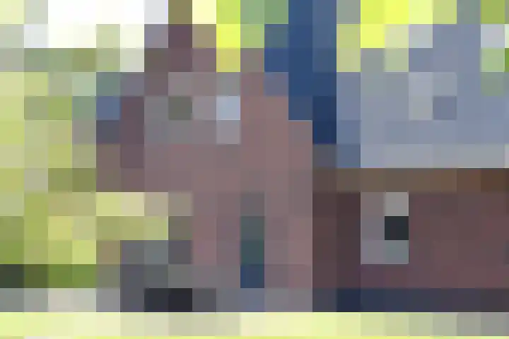 Priorij 7 Winschoten thumbnail 12