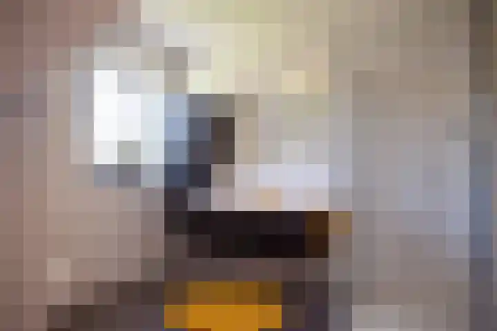 Priorij 7 Winschoten thumbnail 31
