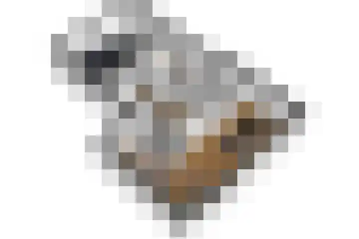 Priorij 7 Winschoten thumbnail 37
