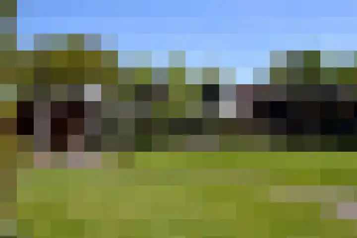 Priorij 7 Winschoten thumbnail 41