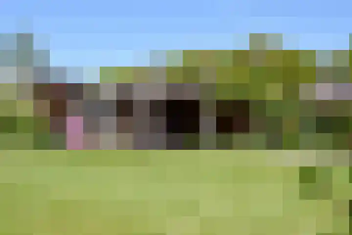 Priorij 7 Winschoten thumbnail 42