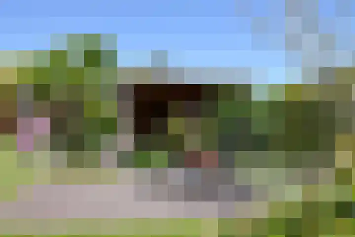 Priorij 7 Winschoten thumbnail 43