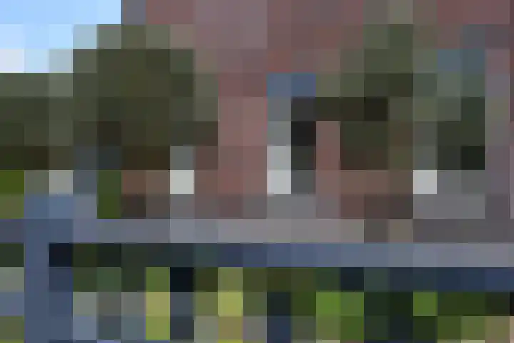 Priorij 7 Winschoten thumbnail 6