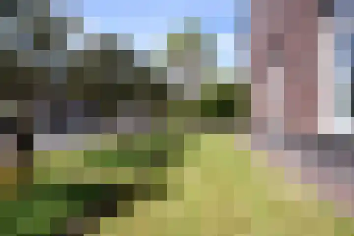 Priorij 7 Winschoten thumbnail 8