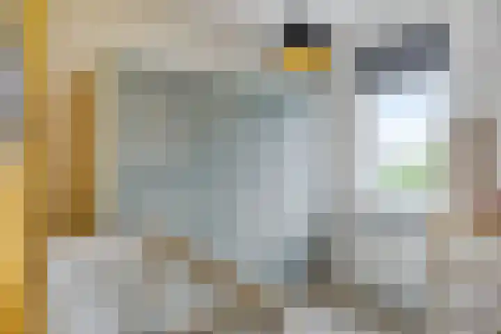 Foto van Priscilla van Heijningen