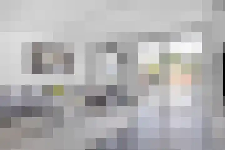 Prisma 54 Rhoon thumbnail 12