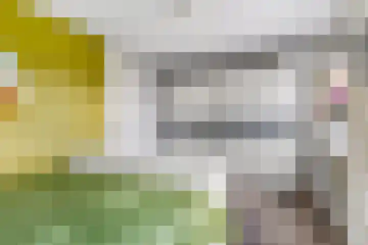 Prisma 54 Rhoon thumbnail 28