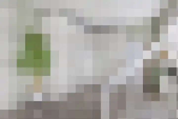 Prisma 54 Rhoon thumbnail 29