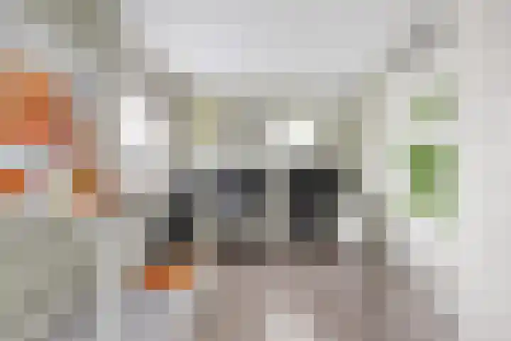Prisma 54 Rhoon thumbnail 30