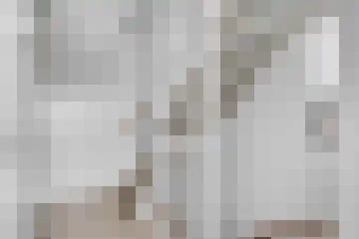 Prisma 54 Rhoon thumbnail 31