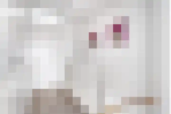 Prisma 54 Rhoon thumbnail 32