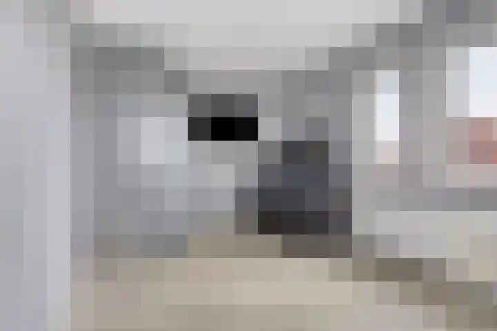 Prisma 54 Rhoon thumbnail 35