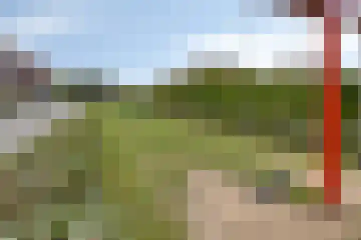 Prisma 54 Rhoon thumbnail 39