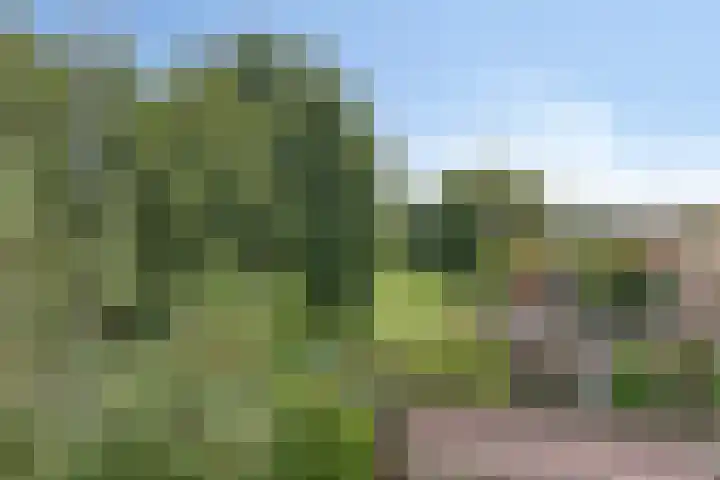 Prismastraat 8 Almere thumbnail 18