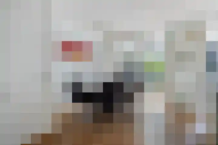 Privaspad 25 Eindhoven thumbnail 13