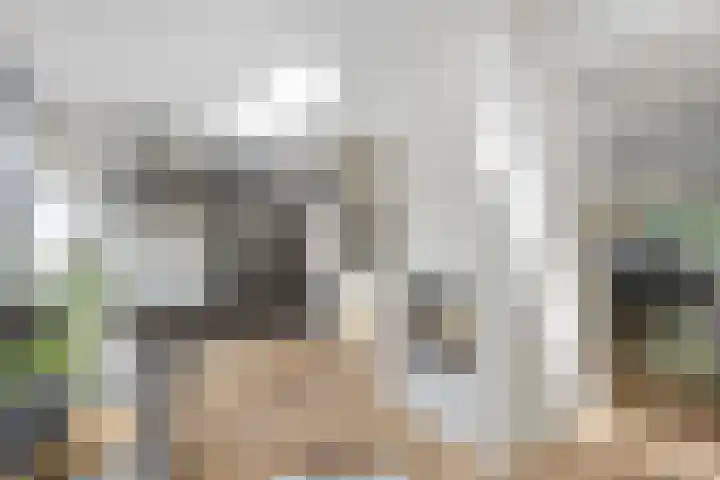 Privaspad 25 Eindhoven thumbnail 19