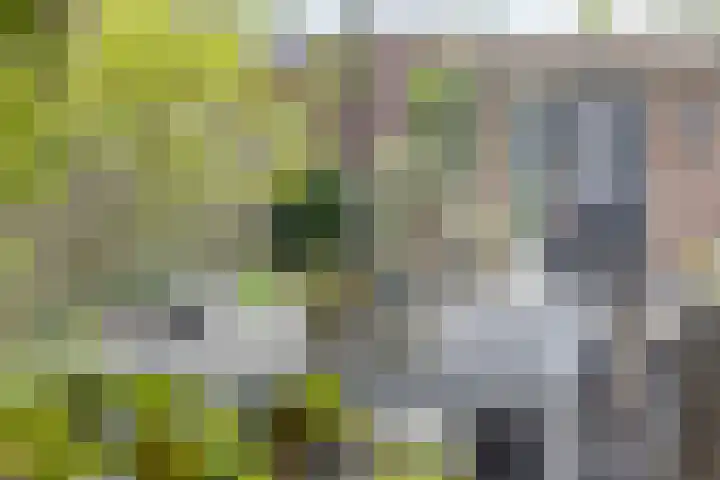 Privaspad 25 Eindhoven thumbnail 24
