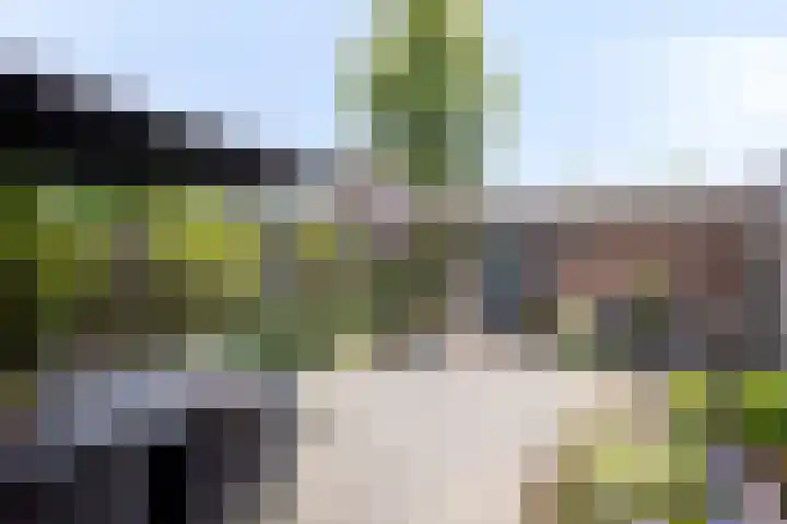 Privaspad 25 Eindhoven thumbnail 36