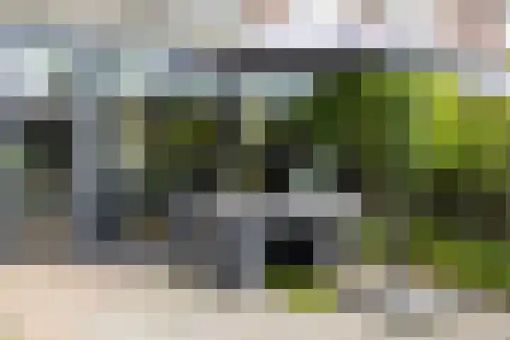 Privaspad 25 Eindhoven thumbnail 39