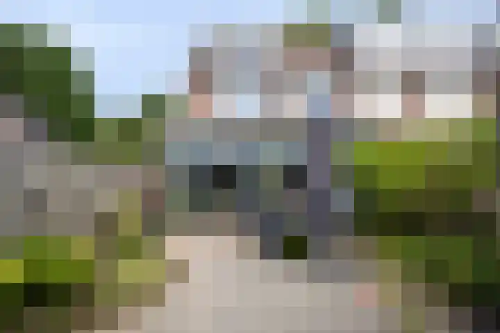 Privaspad 25 Eindhoven thumbnail 40