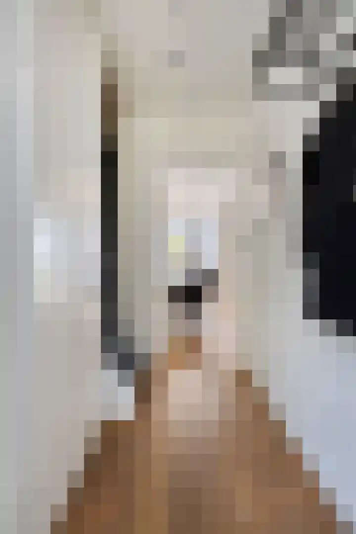 Privaspad 25 Eindhoven thumbnail 8