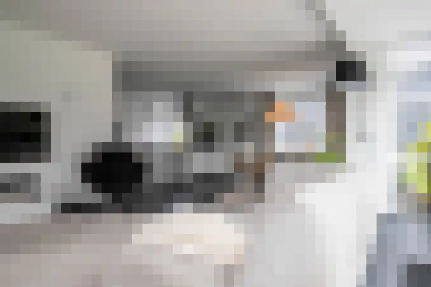 Productieweg 6 Hasselt thumbnail 18