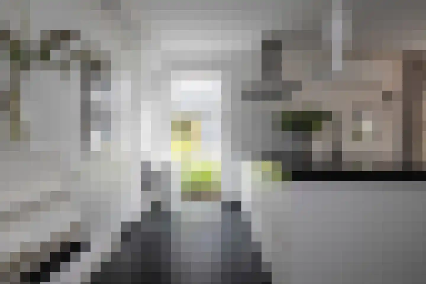 Productieweg 6 Hasselt thumbnail 20