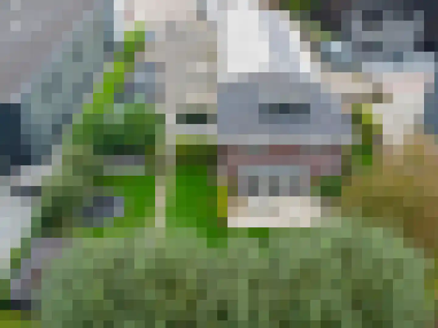 Productieweg 6 Hasselt thumbnail 26