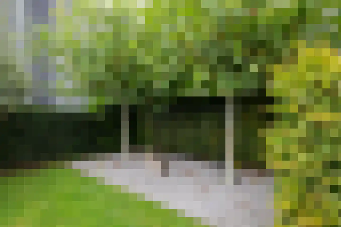 Productieweg 6 Hasselt thumbnail 28