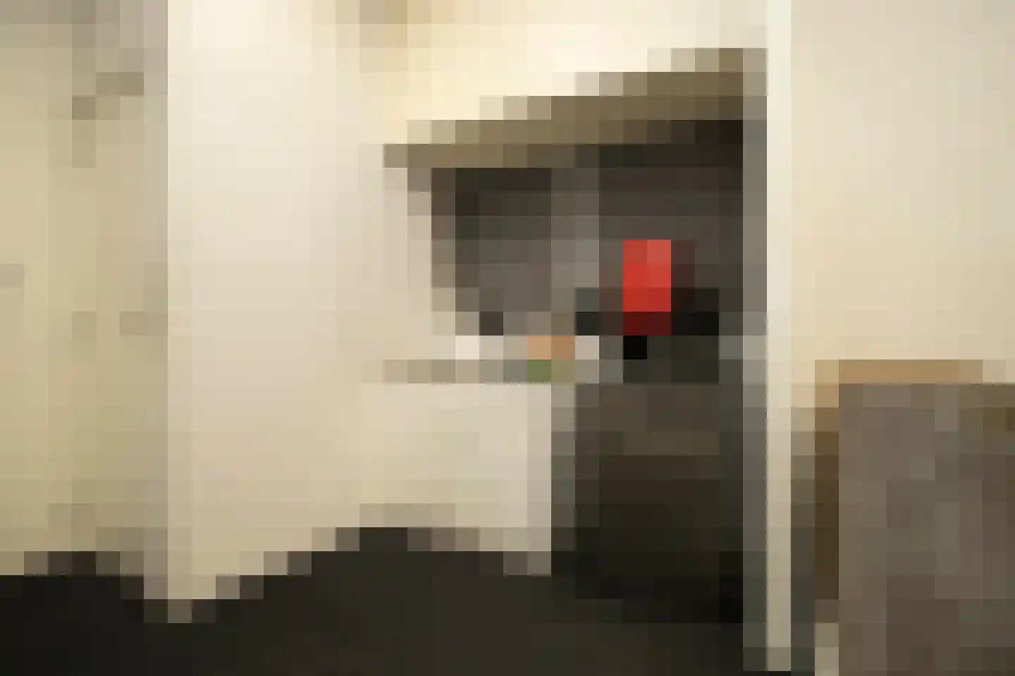 Productieweg 6 Hasselt thumbnail 50