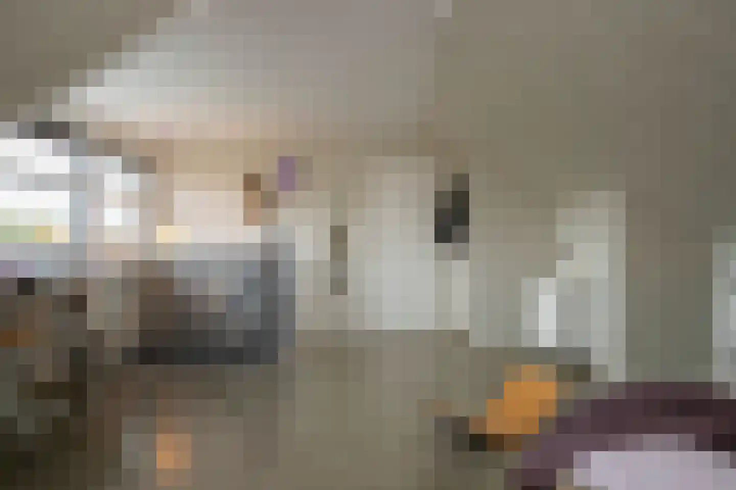 Productieweg 6 Hasselt thumbnail 67