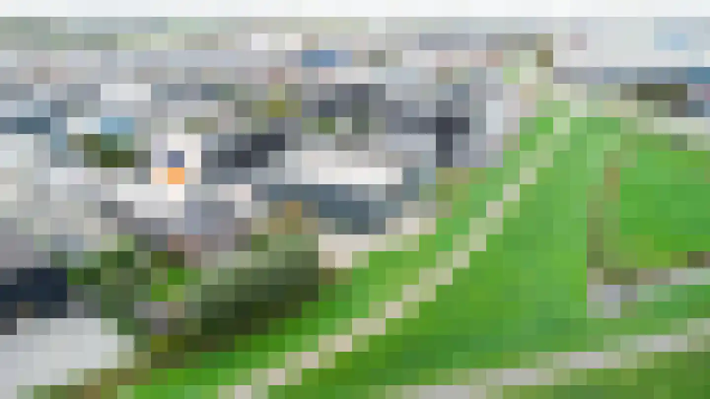 Productieweg 6 Hasselt thumbnail 9