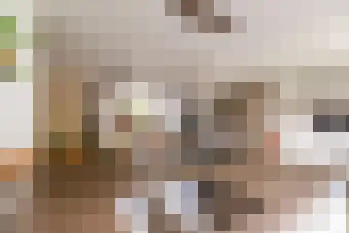Prof de Vrijerlaan 10 Odijk thumbnail 20