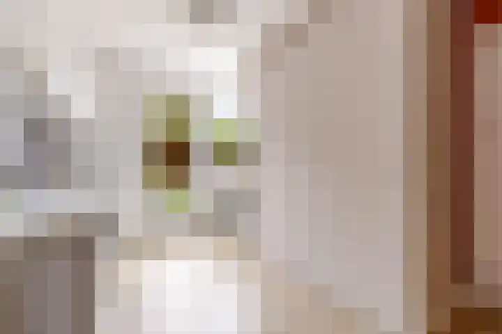 Prof de Vrijerlaan 10 Odijk thumbnail 22