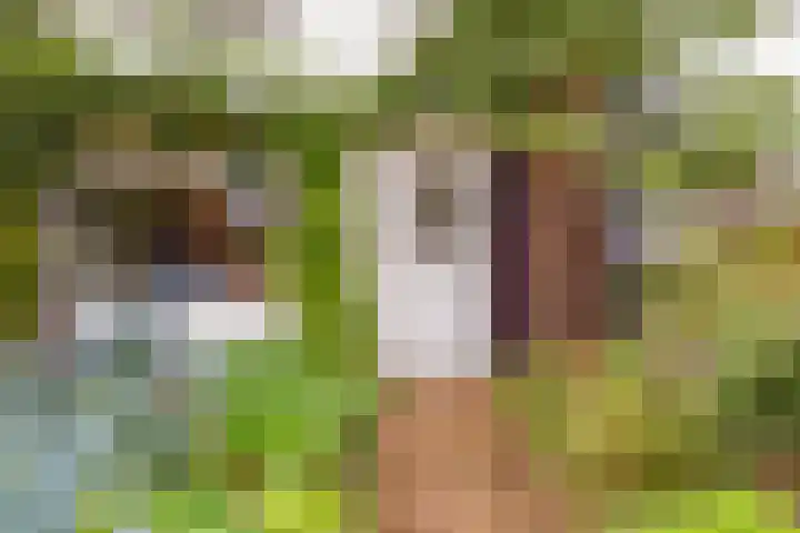 Prof de Vrijerlaan 10 Odijk thumbnail 4