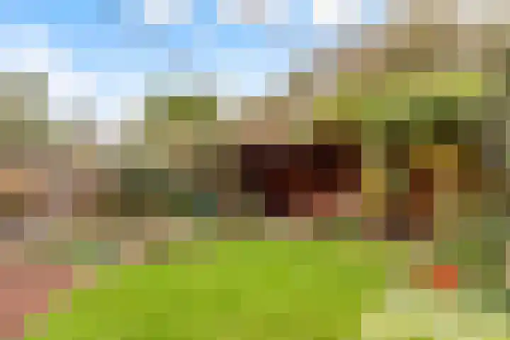 Prof de Vrijerlaan 10 Odijk thumbnail 40