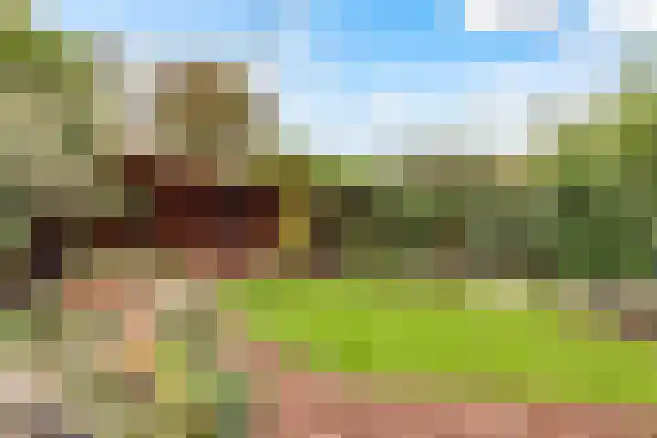 Prof de Vrijerlaan 10 Odijk thumbnail 42