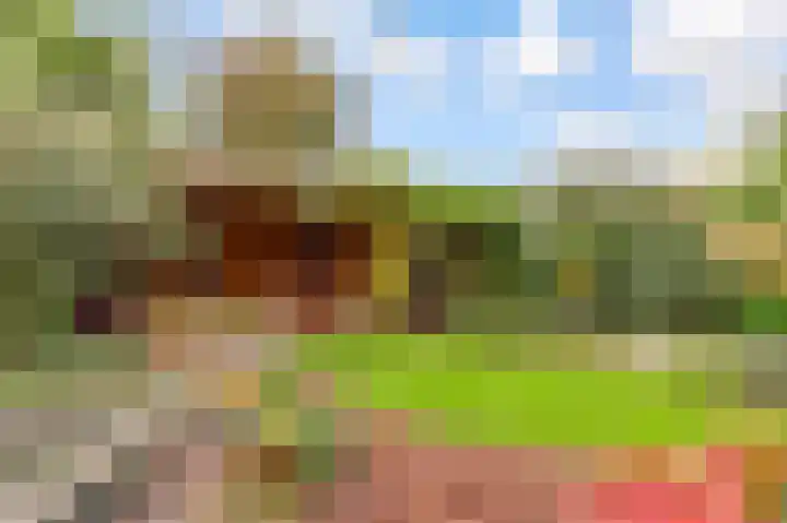 Prof de Vrijerlaan 10 Odijk thumbnail 46