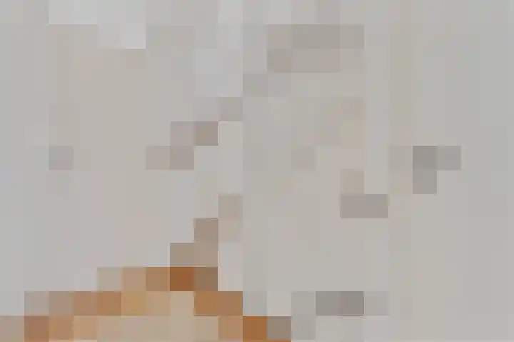 Prof. dr. C. Eijkmanweg 15 De Bilt thumbnail 14