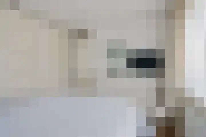 Prof. dr. C. Eijkmanweg 15 De Bilt thumbnail 19