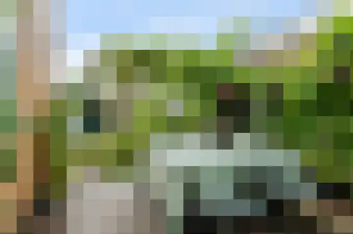 Prof. dr. C. Eijkmanweg 15 De Bilt thumbnail 25