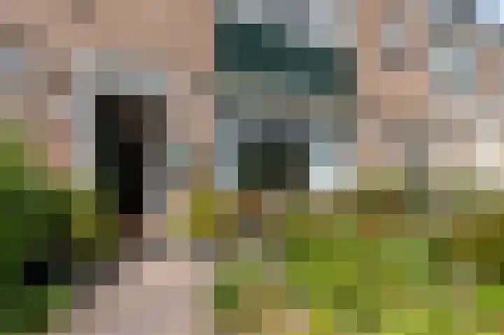 Prof. dr. C. Eijkmanweg 15 De Bilt thumbnail 4