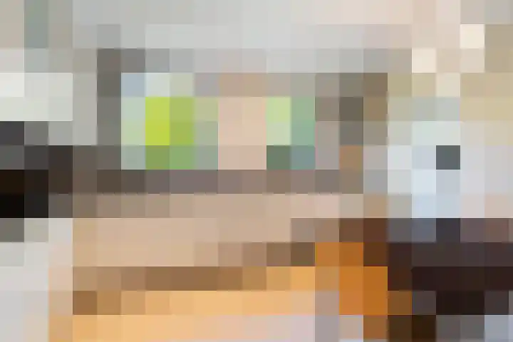 Prof. Evertslaan 122 Delft thumbnail 17